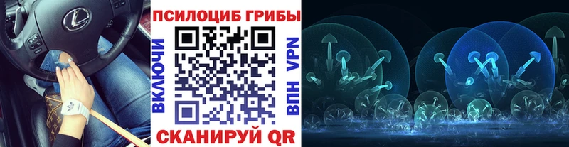 Псилоцибиновые грибы мицелий Медногорск