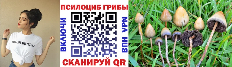 Галлюциногенные грибы прущие грибы  Медногорск 